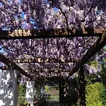Relais La Rupe 4* Sorrento