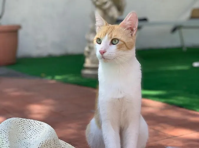 Relais La Rupe Gasthof Sorrent