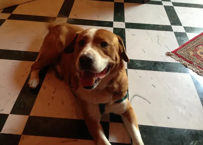 Konukevi Relais La Rupe 4*