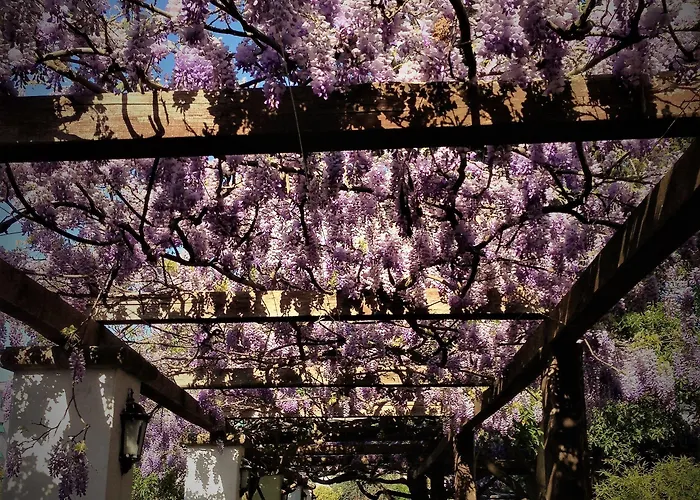 Гостевой дом Relais La Rupe 4*