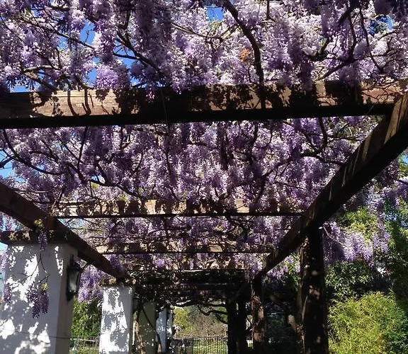 Relais La Rupe 4* Sorrento