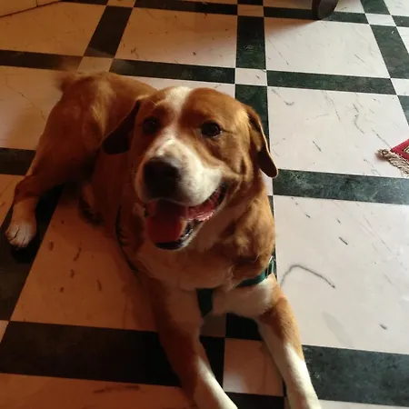 Πανσιόν Relais La Rupe 4*