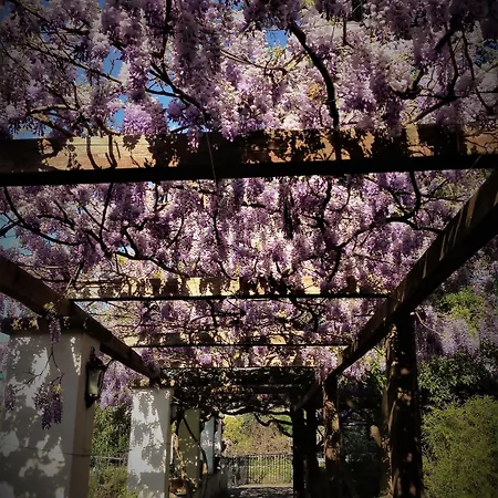 Πανσιόν Relais La Rupe 4*