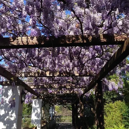 Relais La Rupe 4* Σορέντο